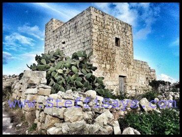 1907935_10153521161589606_9058301235436382407_n copy