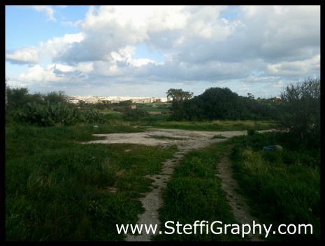 20150208_limits of zebbug_1