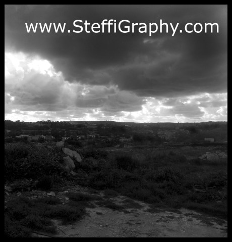 20150208_limits of zebbug_2