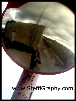 20150208_limits of zebbug_3