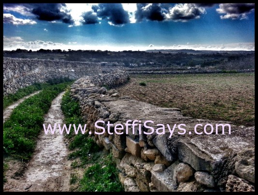 20150307 - Walk in the Valley (4) copy