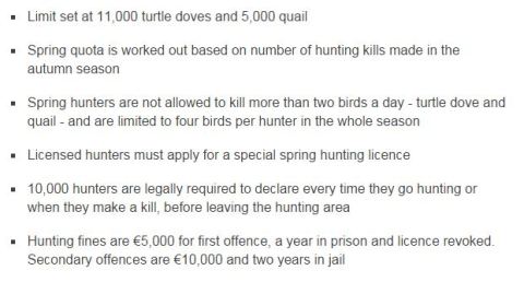 springhunting rules_bbc