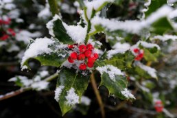 Winter weather Nov 30th